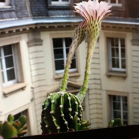 chambre d'hôte dans maison de maître Mulhouse Exterior foto